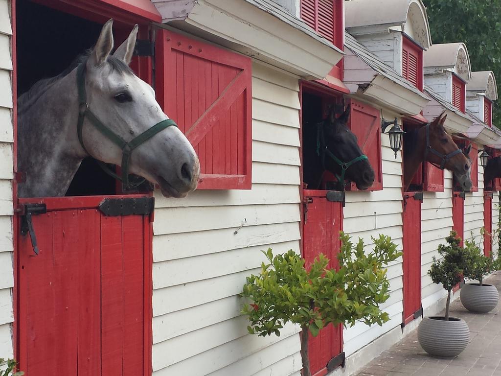 Hotel Boutique La Caballeriza Limache Eksteriør billede